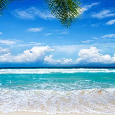 乐鱼app官网正式版下载app下载